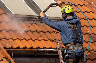 Démoussage et hydrofuge de toiture à Dole